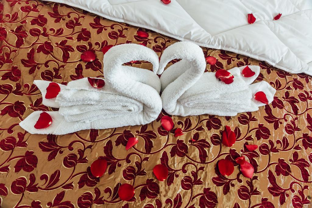 Hotel Azzurro Herceg Novi Luaran gambar